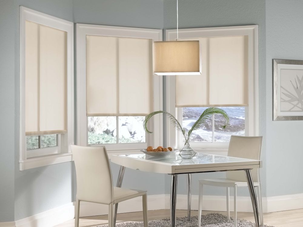 Blinds.ca: Solar Roller Shade